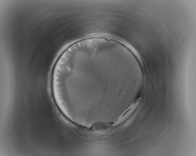 X0000111821102200909031445