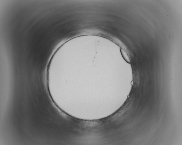 X0000111821103200909031445