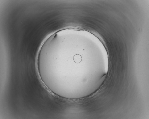 X0000111821104200909031445
