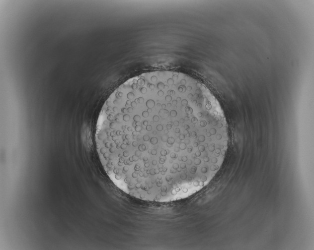 X0000111821106200909031445