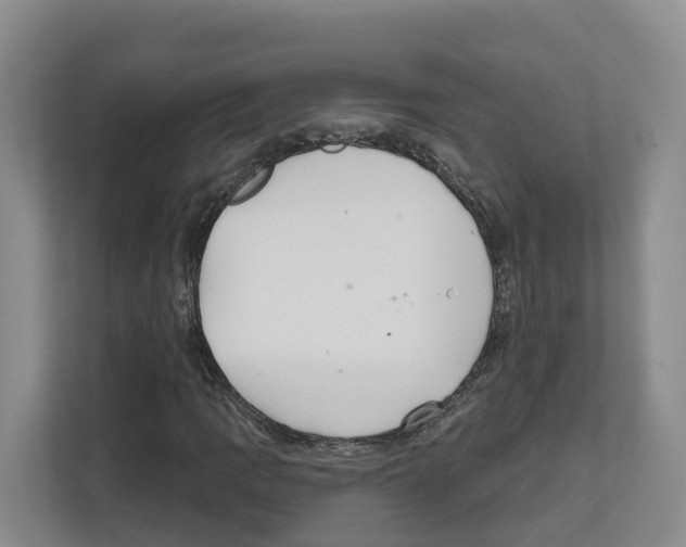 X0000111821109200909031445