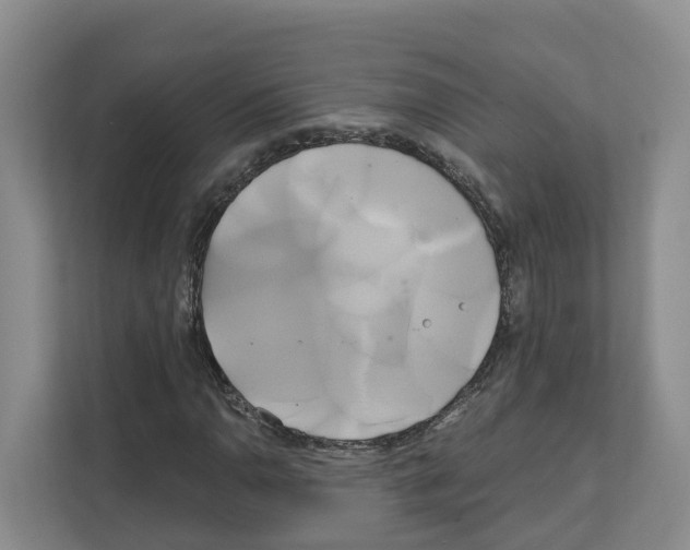 X0000111821110200909031445