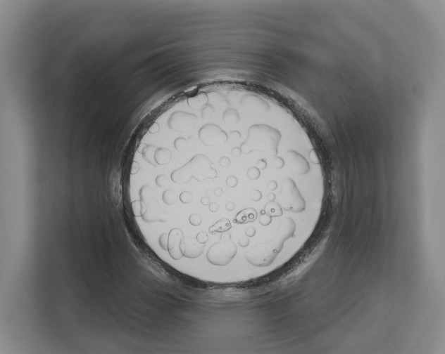 X0000111821113200909031445
