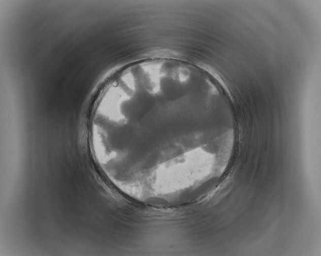 X0000111821115200909031445