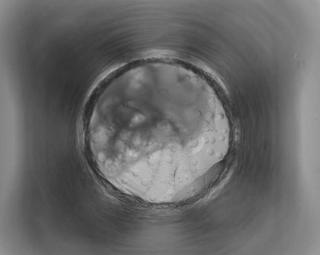 X0000111821117200909031445