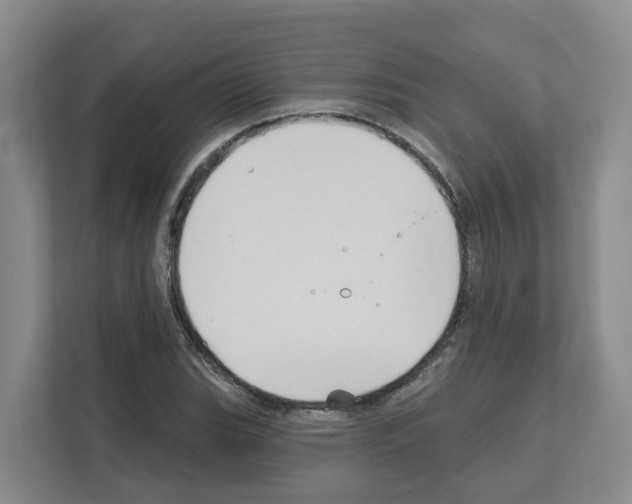 X0000111821119200909031445