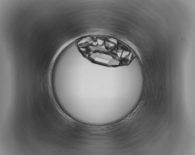 X0000111821120200909031445