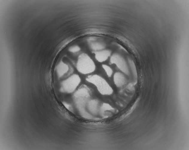X0000111821121200909031445