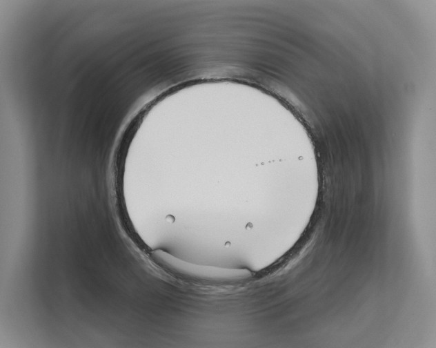 X0000111821122200909031445