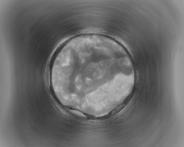 X0000111821123200909031445
