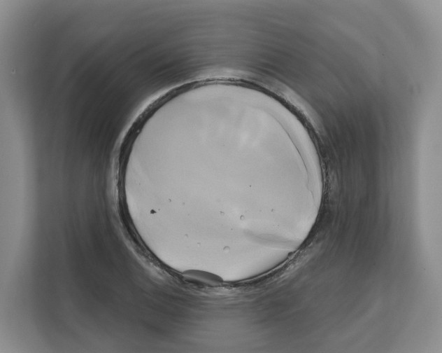 X0000111821124200909031445