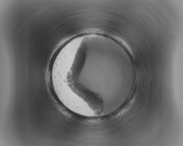 X0000111821125200909031445