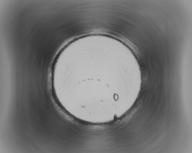 X0000111821126200909031445