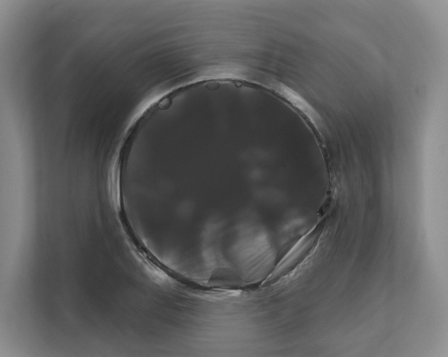X0000111821127200909031445