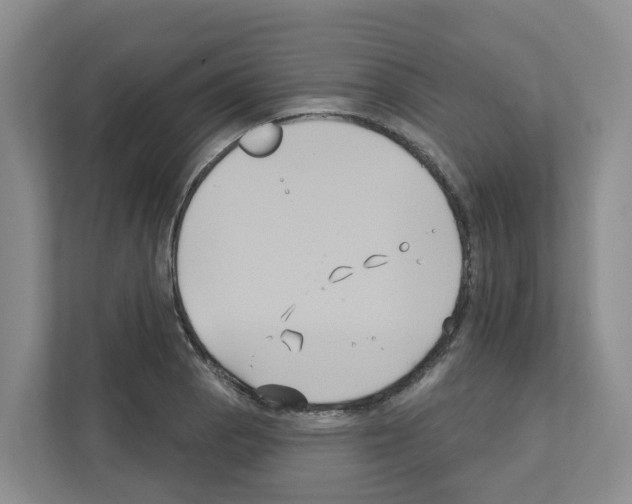 X0000111821129200909031445