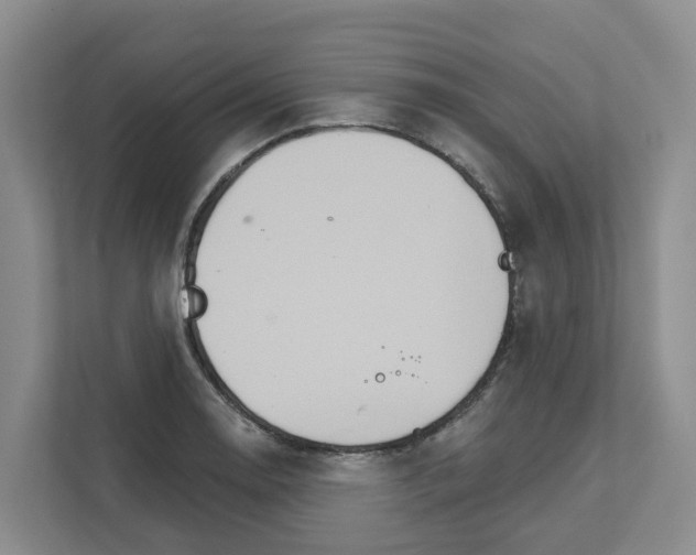 X0000111821130200909031445