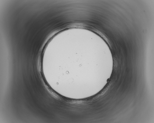 X0000111821131200909031445