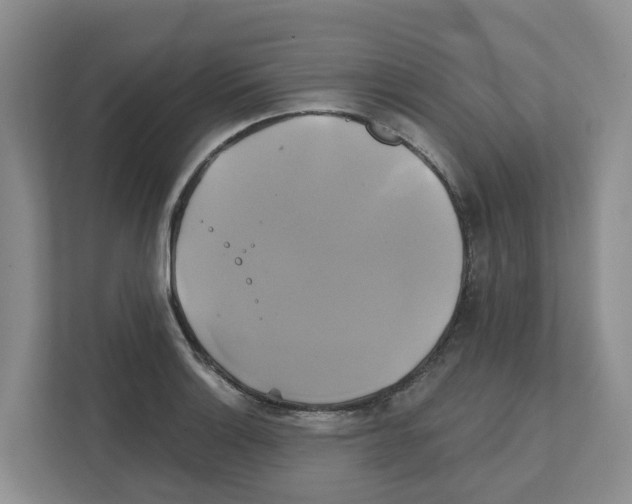 X0000111821132200909031445