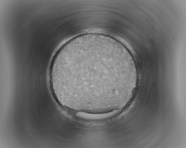 X0000111821133200909031445