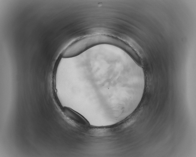 X0000111821134200909031445