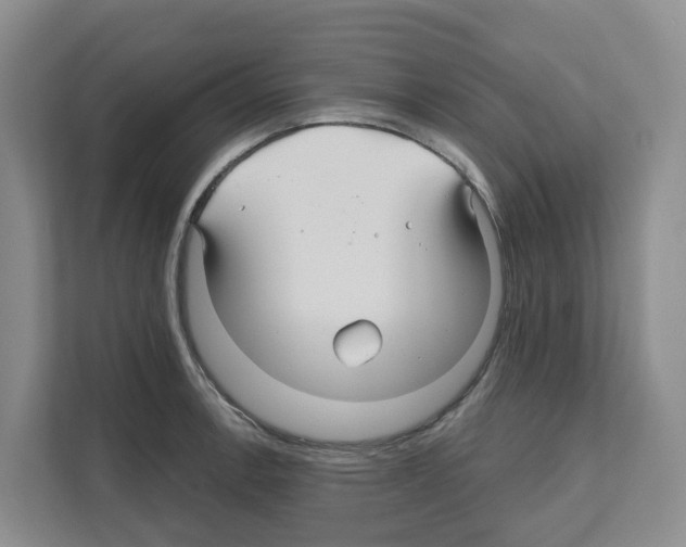 X0000111821138200909031445
