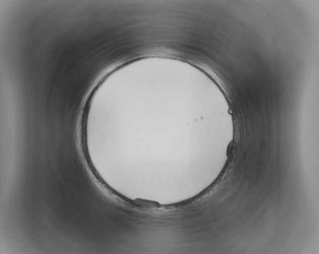 X0000111821139200909031445