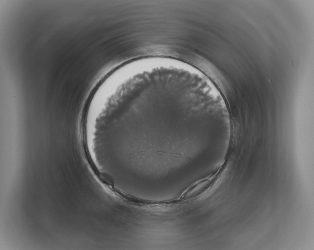 X0000111821141200909031445