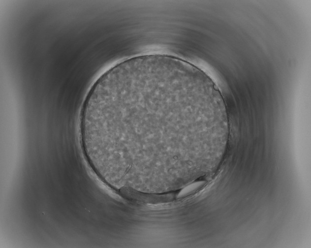 X0000111821142200909031445