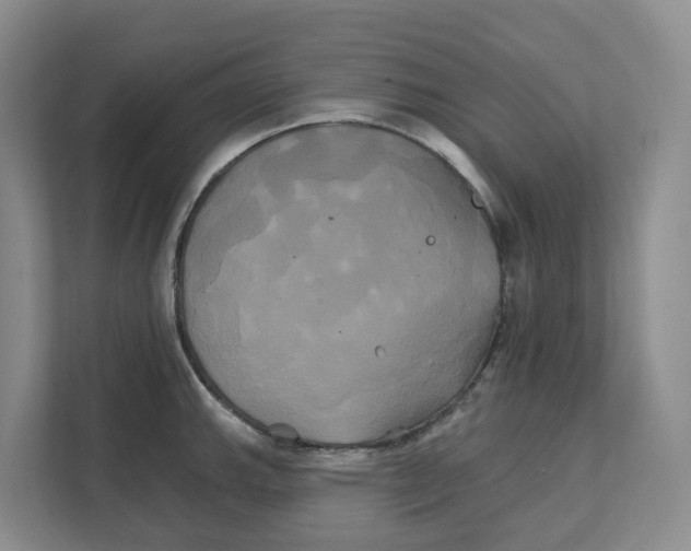 X0000111821143200909031445