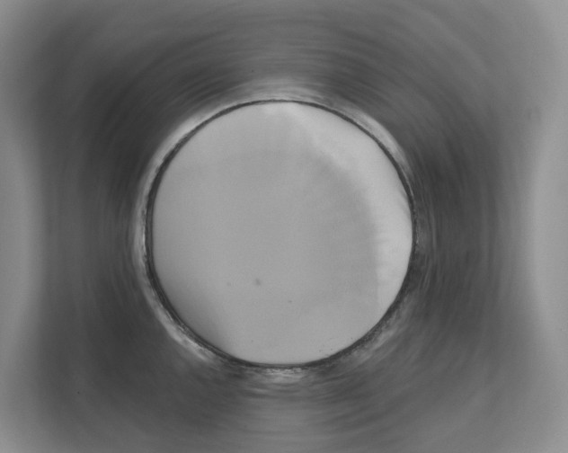 X0000111821144200909031445