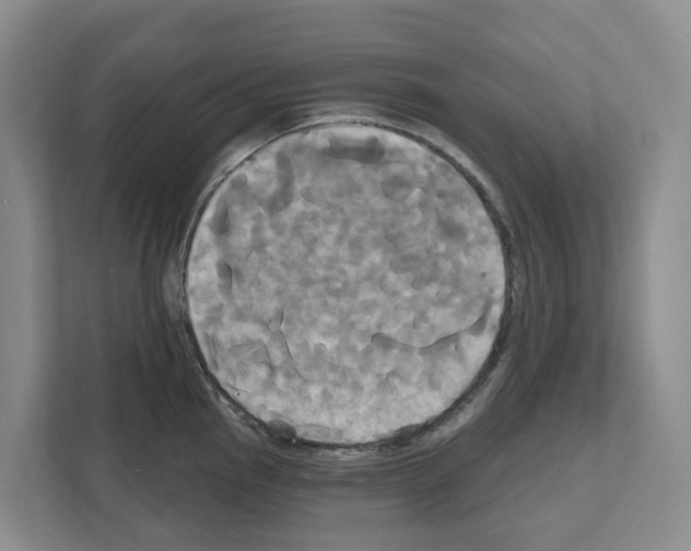 X0000111821145200909031445