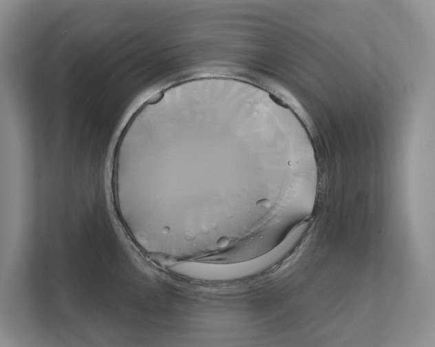 X0000111821146200909031445