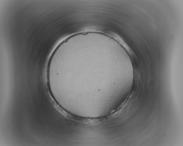X0000111821148200909031445