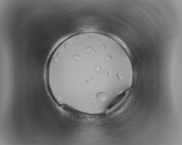 X0000111821149200909031445