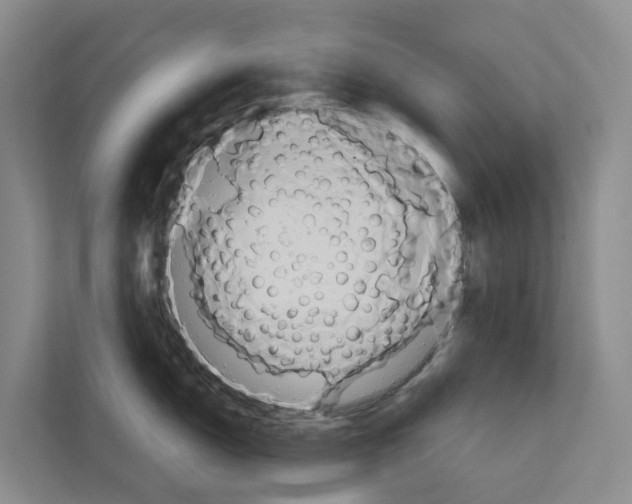 X0000111821150200909031445