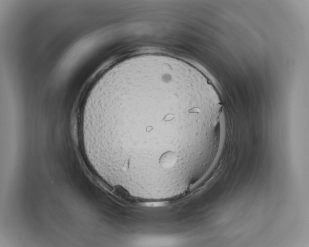X0000111821151200909031445