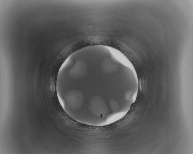 X0000111821155200909031445