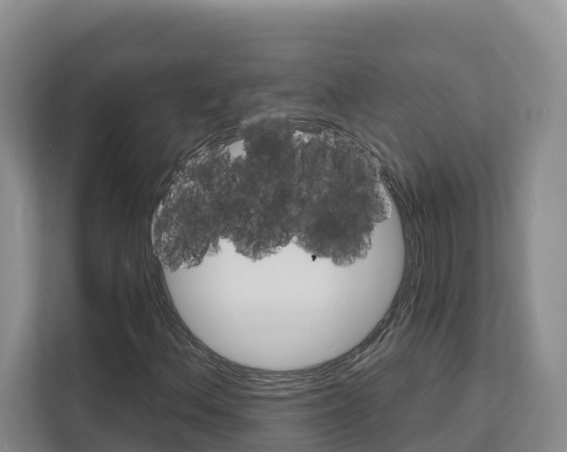 X0000111821156200909031445