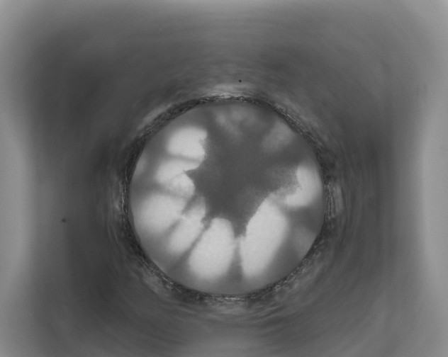 X0000111821158200909031445
