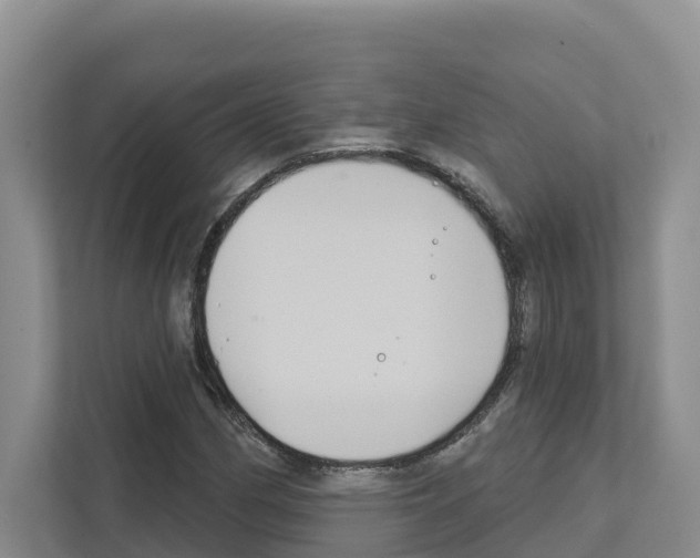 X0000111821162200909031445