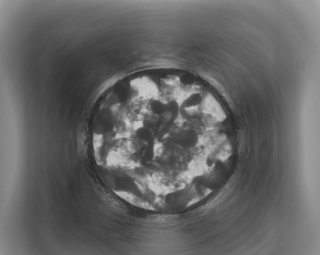 X0000111821163200909031445