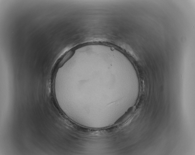 X0000111821165200909031444