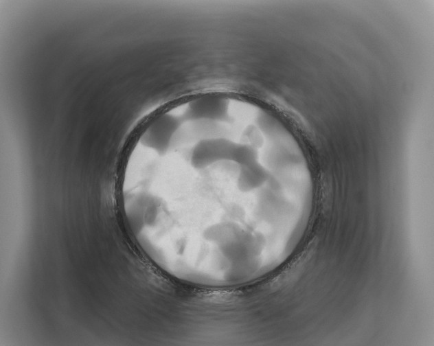 X0000111821166200909031444
