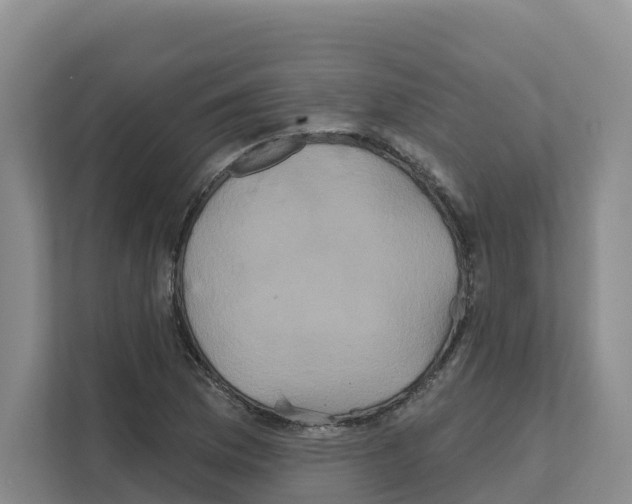 X0000111821169200909031444
