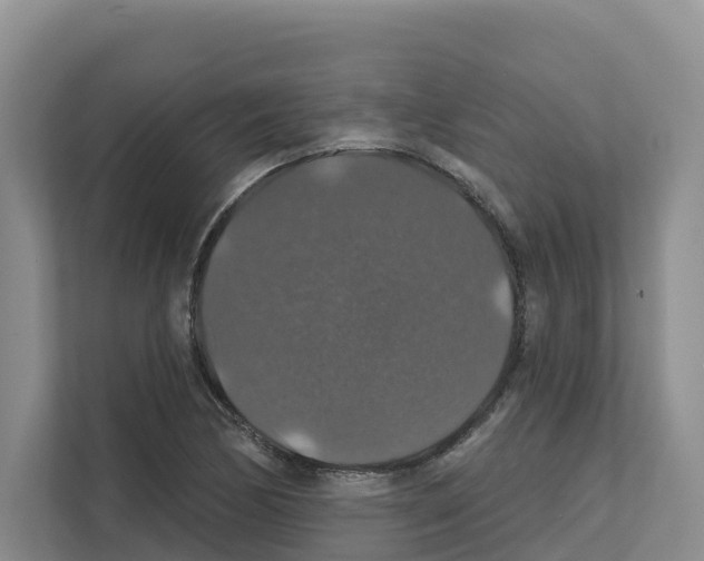 X0000111821170200909031444