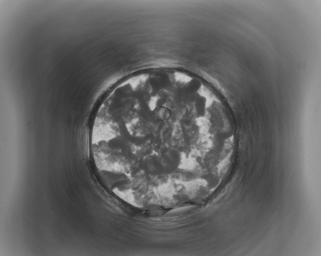 X0000111821171200909031444