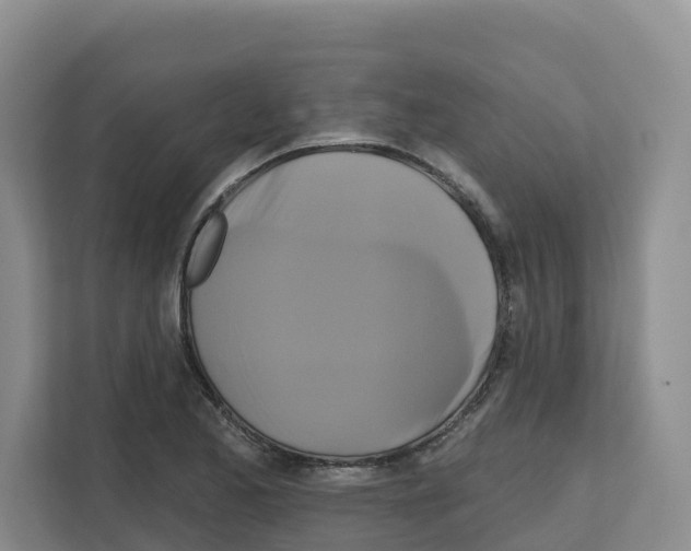 X0000111821173200909031444