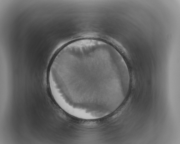 X0000111821174200909031444