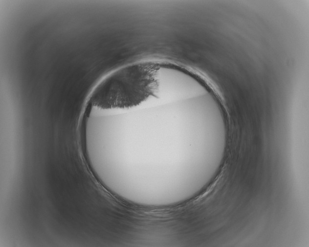 X0000111821175200909031444