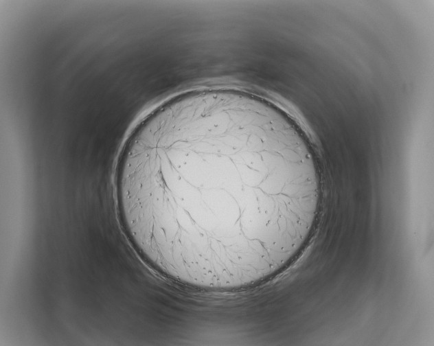 X0000111821176200909031444